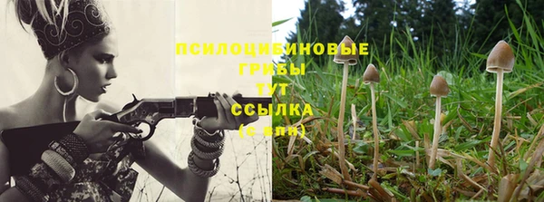 марки lsd Балахна