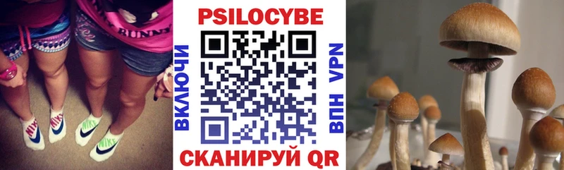 Галлюциногенные грибы Cubensis дарк нет формула Белебей